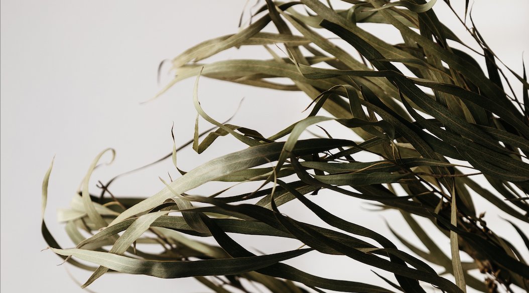 Botanicals