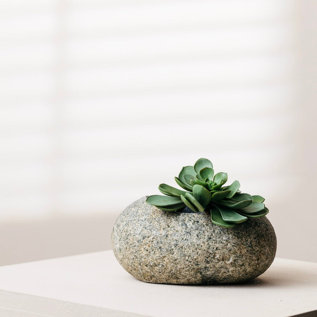 stone succulent planter Cebu Planter – Collective House